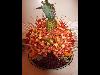 Foto 5: Anvic Catering and Event Services